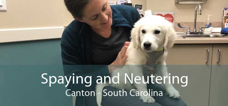 Spaying and Neutering Canton - South Carolina