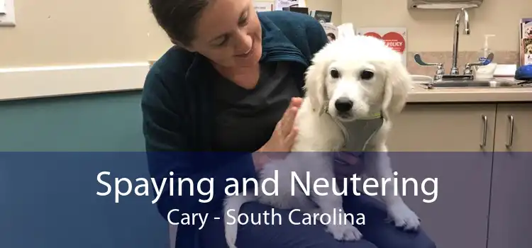 Spaying and Neutering Cary - South Carolina