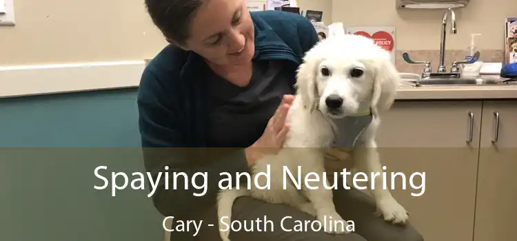 Spaying and Neutering Cary - South Carolina