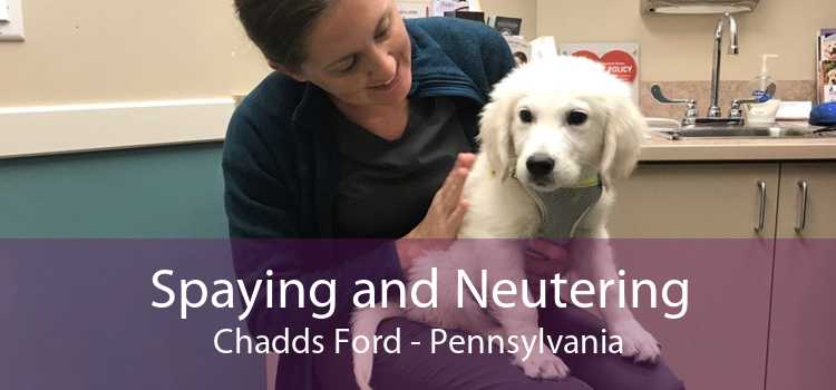 Spaying and Neutering Chadds Ford - Pennsylvania