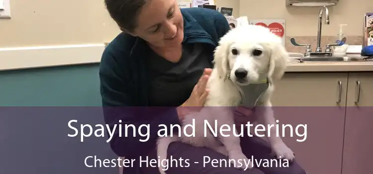 Spaying and Neutering Chester Heights - Pennsylvania