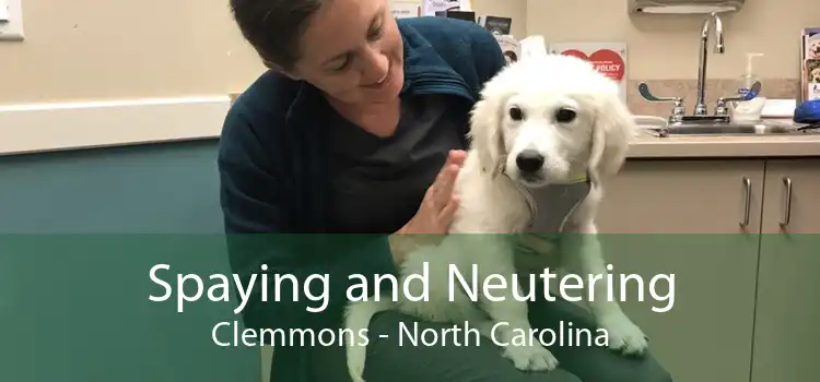 Spaying and Neutering Clemmons - North Carolina