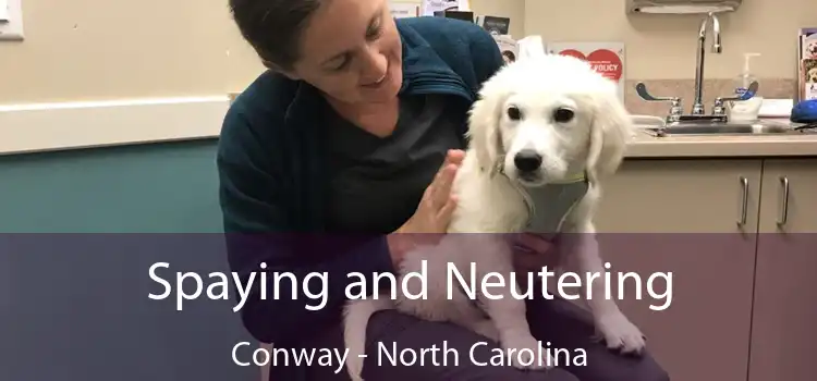 Spaying and Neutering Conway - North Carolina
