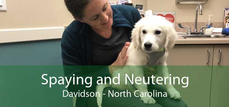 Spaying and Neutering Davidson - North Carolina