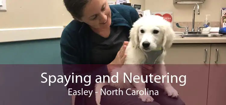Spaying and Neutering Easley - North Carolina