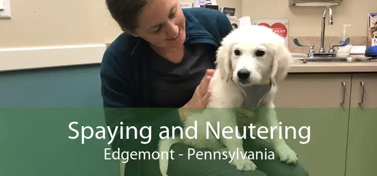 Spaying and Neutering Edgemont - Pennsylvania