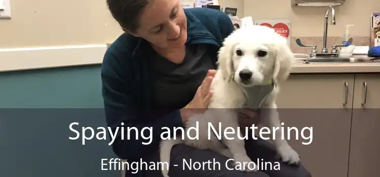 Spaying and Neutering Effingham - North Carolina