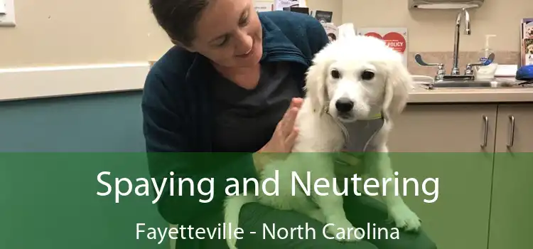 Spaying and Neutering Fayetteville - North Carolina