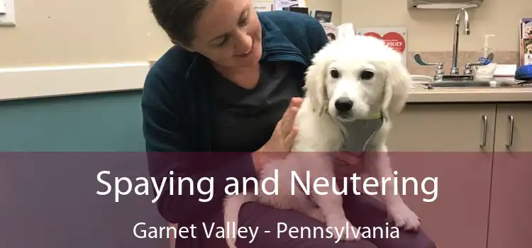 Spaying and Neutering Garnet Valley - Pennsylvania