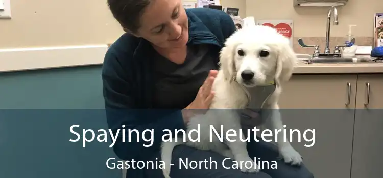 Spaying and Neutering Gastonia - North Carolina