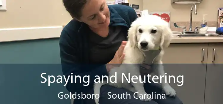 Spaying and Neutering Goldsboro - South Carolina
