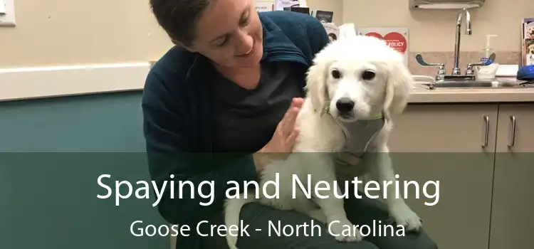 Spaying and Neutering Goose Creek - North Carolina
