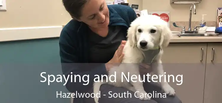 Spaying and Neutering Hazelwood - South Carolina