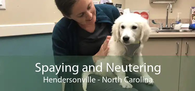 Spaying and Neutering Hendersonville - North Carolina