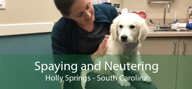 Spaying and Neutering Holly Springs - South Carolina