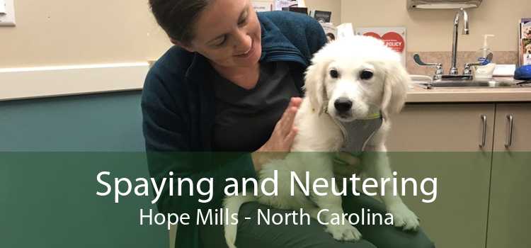 Spaying and Neutering Hope Mills - North Carolina