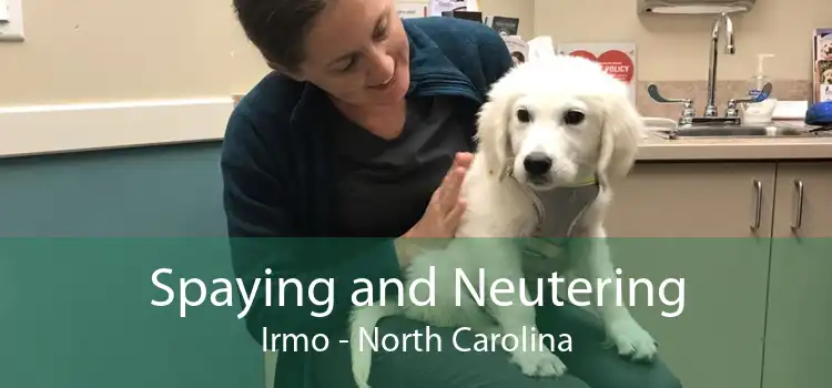 Spaying and Neutering Irmo - North Carolina