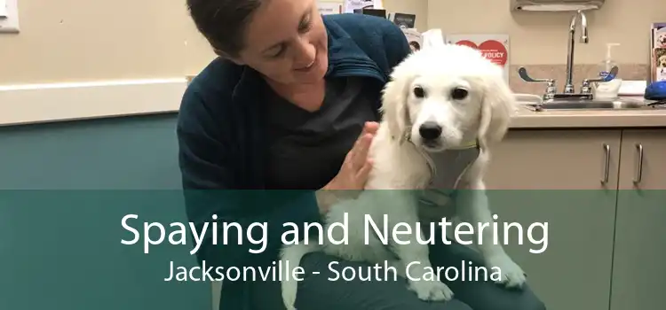 Spaying and Neutering Jacksonville - South Carolina