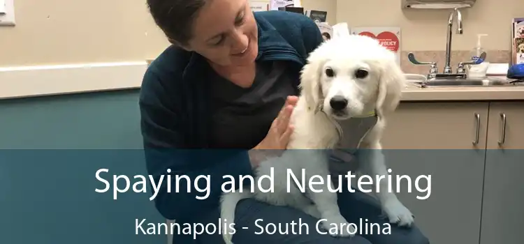 Spaying and Neutering Kannapolis - South Carolina