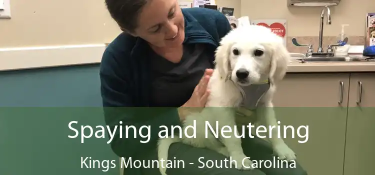 Spaying and Neutering Kings Mountain - South Carolina