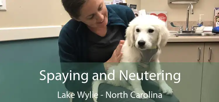Spaying and Neutering Lake Wylie - North Carolina