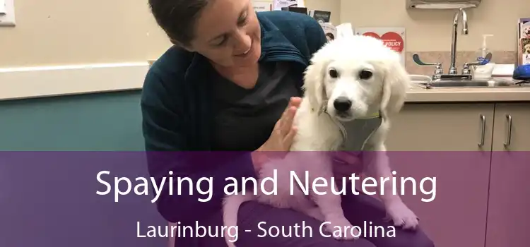 Spaying and Neutering Laurinburg - South Carolina