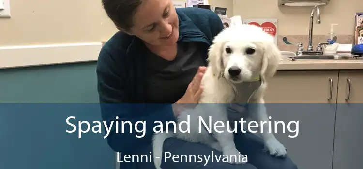 Spaying and Neutering Lenni - Pennsylvania