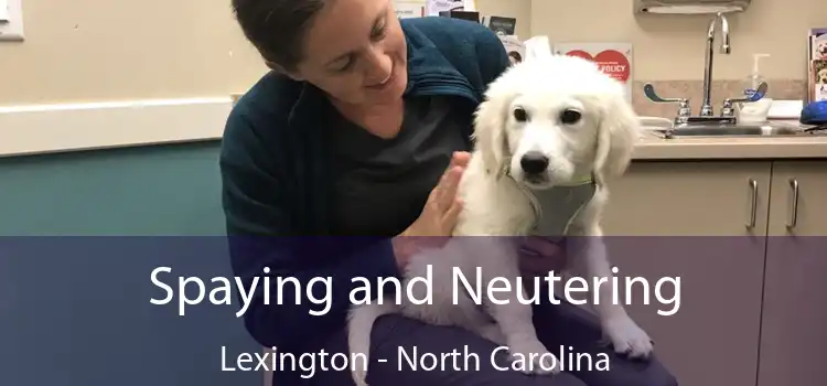 Spaying and Neutering Lexington - North Carolina
