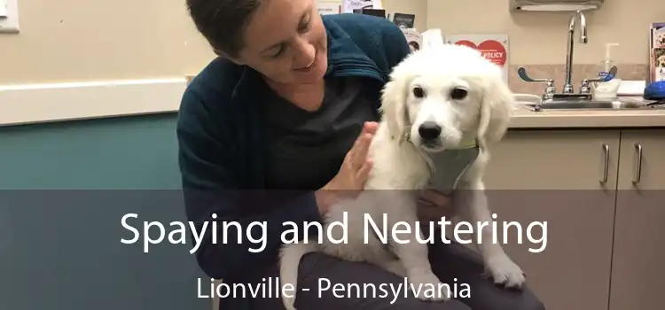 Spaying and Neutering Lionville - Pennsylvania