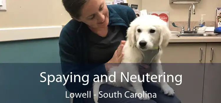 Spaying and Neutering Lowell - South Carolina