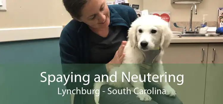 Spaying and Neutering Lynchburg - South Carolina