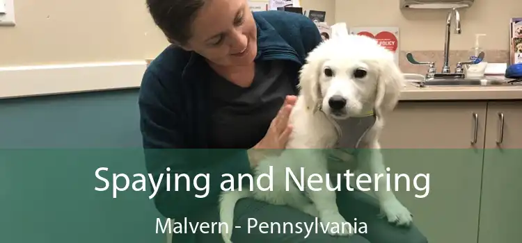 Spaying and Neutering Malvern - Pennsylvania