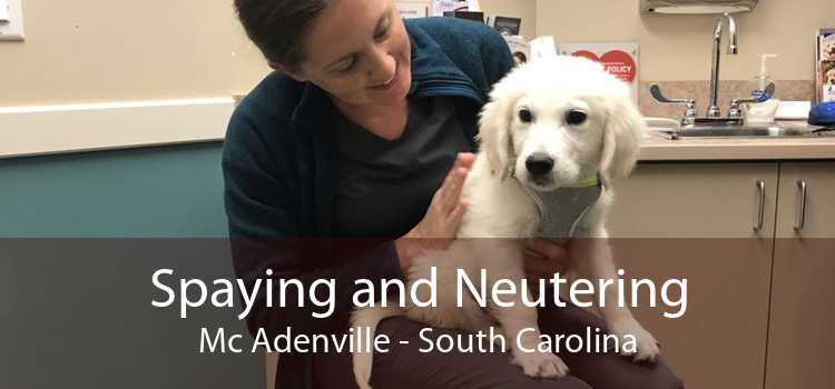 Spaying and Neutering Mc Adenville - South Carolina