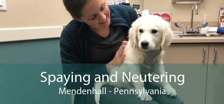 Spaying and Neutering Mendenhall - Pennsylvania