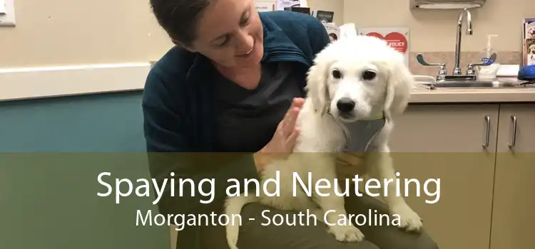 Spaying and Neutering Morganton - South Carolina