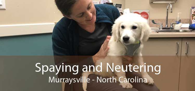 Spaying and Neutering Murraysville - North Carolina