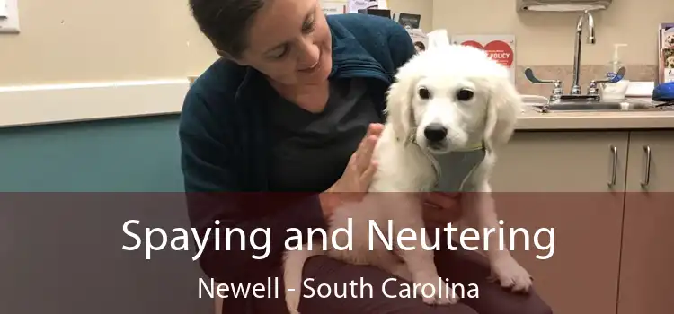 Spaying and Neutering Newell - South Carolina
