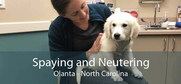 Spaying and Neutering Olanta - North Carolina