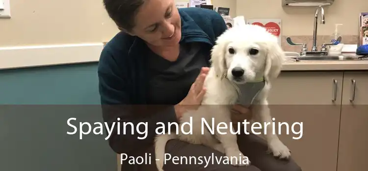 Spaying and Neutering Paoli - Pennsylvania
