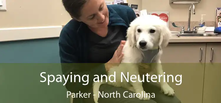 Spaying and Neutering Parker - North Carolina