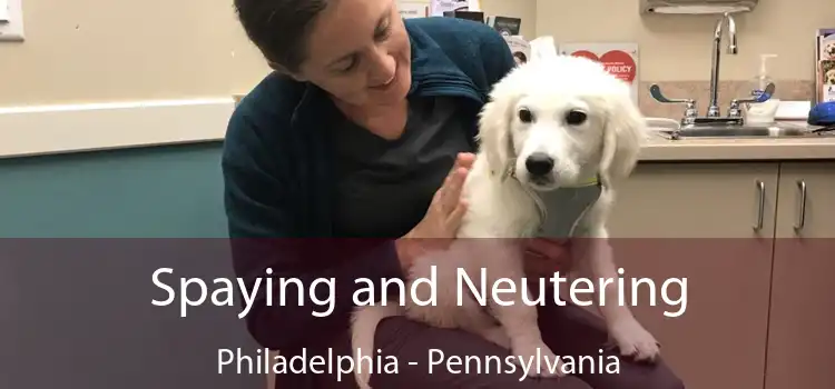 Spaying and Neutering Philadelphia - Pennsylvania