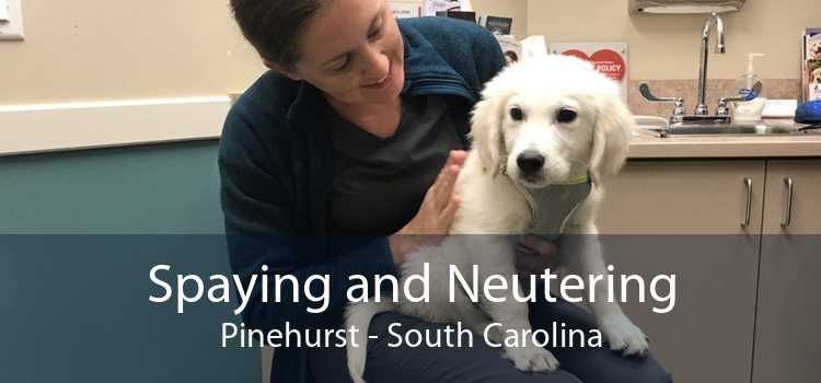 Spaying and Neutering Pinehurst - South Carolina