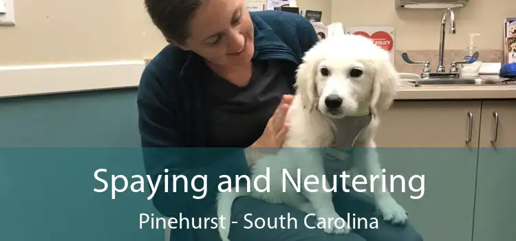 Spaying and Neutering Pinehurst - South Carolina