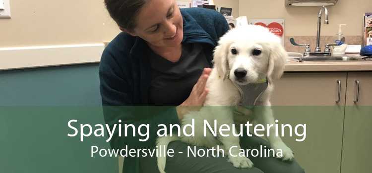 Spaying and Neutering Powdersville - North Carolina