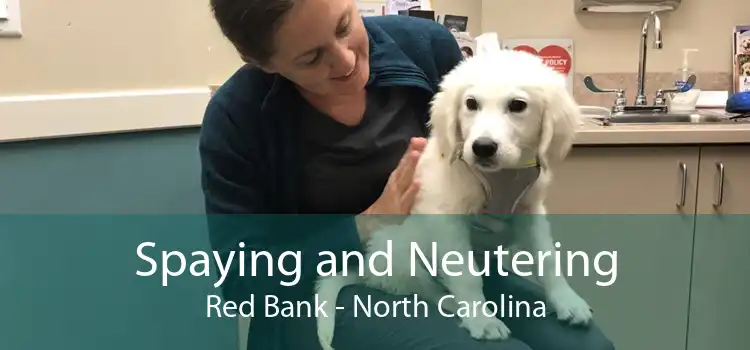 Spaying and Neutering Red Bank - North Carolina