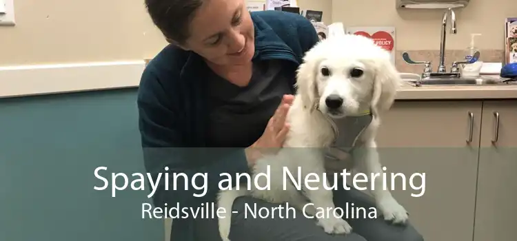 Spaying and Neutering Reidsville - North Carolina