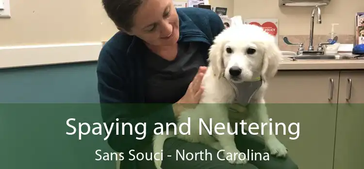 Spaying and Neutering Sans Souci - North Carolina