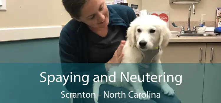 Spaying and Neutering Scranton - North Carolina