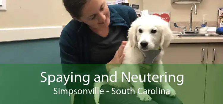 Spaying and Neutering Simpsonville - South Carolina