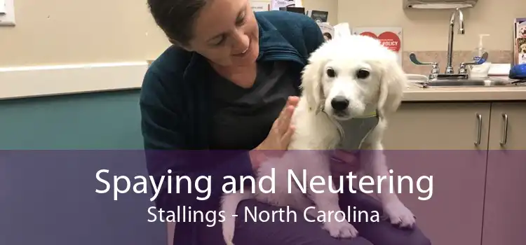 Spaying and Neutering Stallings - North Carolina